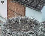 Capi_Dubne_20260818_200503.jpg