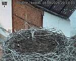 Capi_Dubne_20260818_201003.jpg