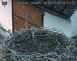 Capi_Dubne_20260818_201503.jpg