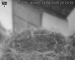 Capi_Dubne_20260818_202502.jpg