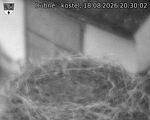 Capi_Dubne_20260818_203002.jpg