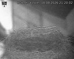 Capi_Dubne_20260818_212002.jpg