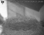 Capi_Dubne_20260818_212503.jpg