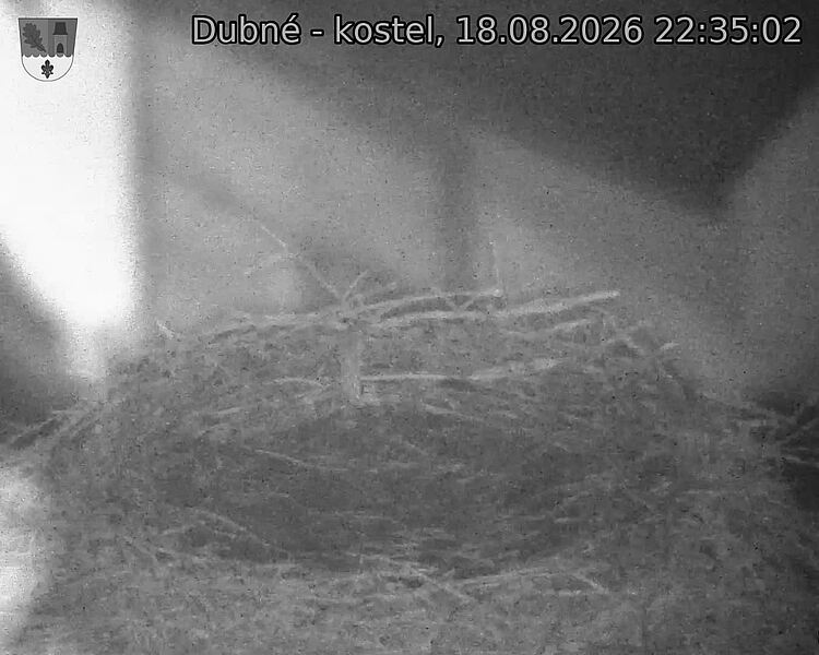 preload