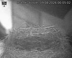 Capi_Dubne_20260819_000502.jpg