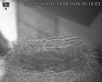 Capi_Dubne_20260819_001003.jpg
