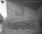 Capi_Dubne_20260819_001502.jpg
