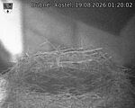 Capi_Dubne_20260819_012002.jpg