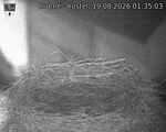 Capi_Dubne_20260819_013503.jpg