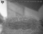 Capi_Dubne_20260819_052002.jpg