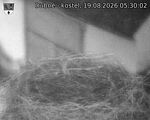 Capi_Dubne_20260819_053002.jpg