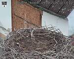 Capi_Dubne_20260819_101002.jpg