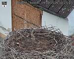 Capi_Dubne_20260819_102503.jpg