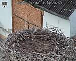 Capi_Dubne_20260819_103503.jpg