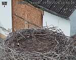 Capi_Dubne_20260819_104004.jpg