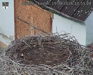 Capi_Dubne_20260819_105504.jpg (1350&nbsp;x&nbsp;1080)