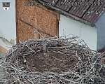Capi_Dubne_20260819_115503.jpg