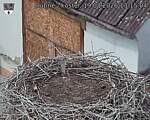 Capi_Dubne_20260819_131504.jpg