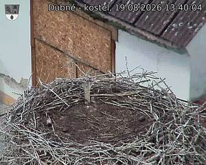 preload