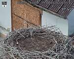 Capi_Dubne_20260819_140502.jpg