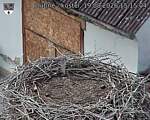 Capi_Dubne_20260819_151504.jpg