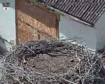 Capi_Dubne_20260819_152003.jpg