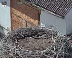 Capi_Dubne_20260819_152503.jpg