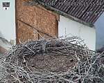 Capi_Dubne_20260819_155504.jpg