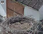 Capi_Dubne_20260819_160504.jpg