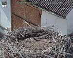 Capi_Dubne_20260819_161003.jpg