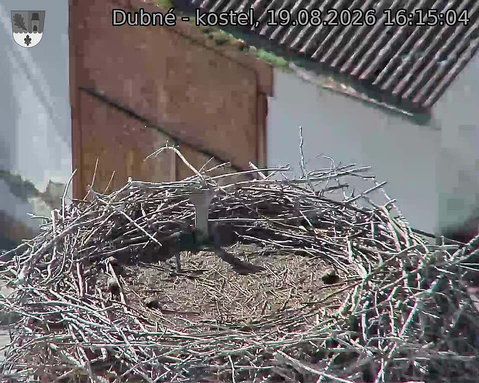 preload