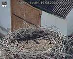Capi_Dubne_20260819_165503.jpg