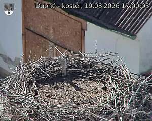 preload