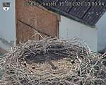 Capi_Dubne_20260819_180004.jpg