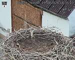 Capi_Dubne_20260819_183503.jpg