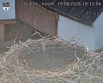 Capi_Dubne_20260819_191504.jpg