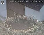 Capi_Dubne_20260819_192005.jpg