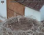 Capi_Dubne_20260819_200003.jpg