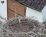 Capi_Dubne_20260819_201003.jpg