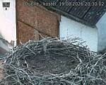 Capi_Dubne_20260819_203002.jpg