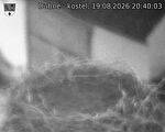 Capi_Dubne_20260819_204003.jpg