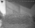 Capi_Dubne_20260820_002003.jpg