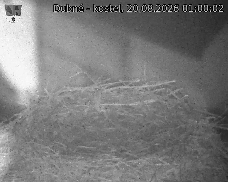 Capi_Dubne_20260820_010002.jpg (1350&nbsp;x&nbsp;1080)