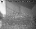 Capi_Dubne_20260820_025502.jpg