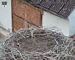 Capi_Dubne_20260820_061003.jpg