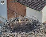 Capi_Dubne_20260820_070004.jpg
