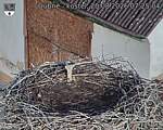 Capi_Dubne_20260820_072504.jpg