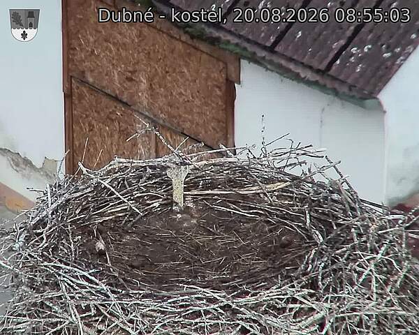Capi_Dubne_20260820_085503.jpg (1350&nbsp;x&nbsp;1080)
