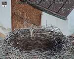 Capi_Dubne_20260820_091003.jpg