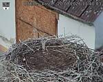 Capi_Dubne_20260820_114003.jpg